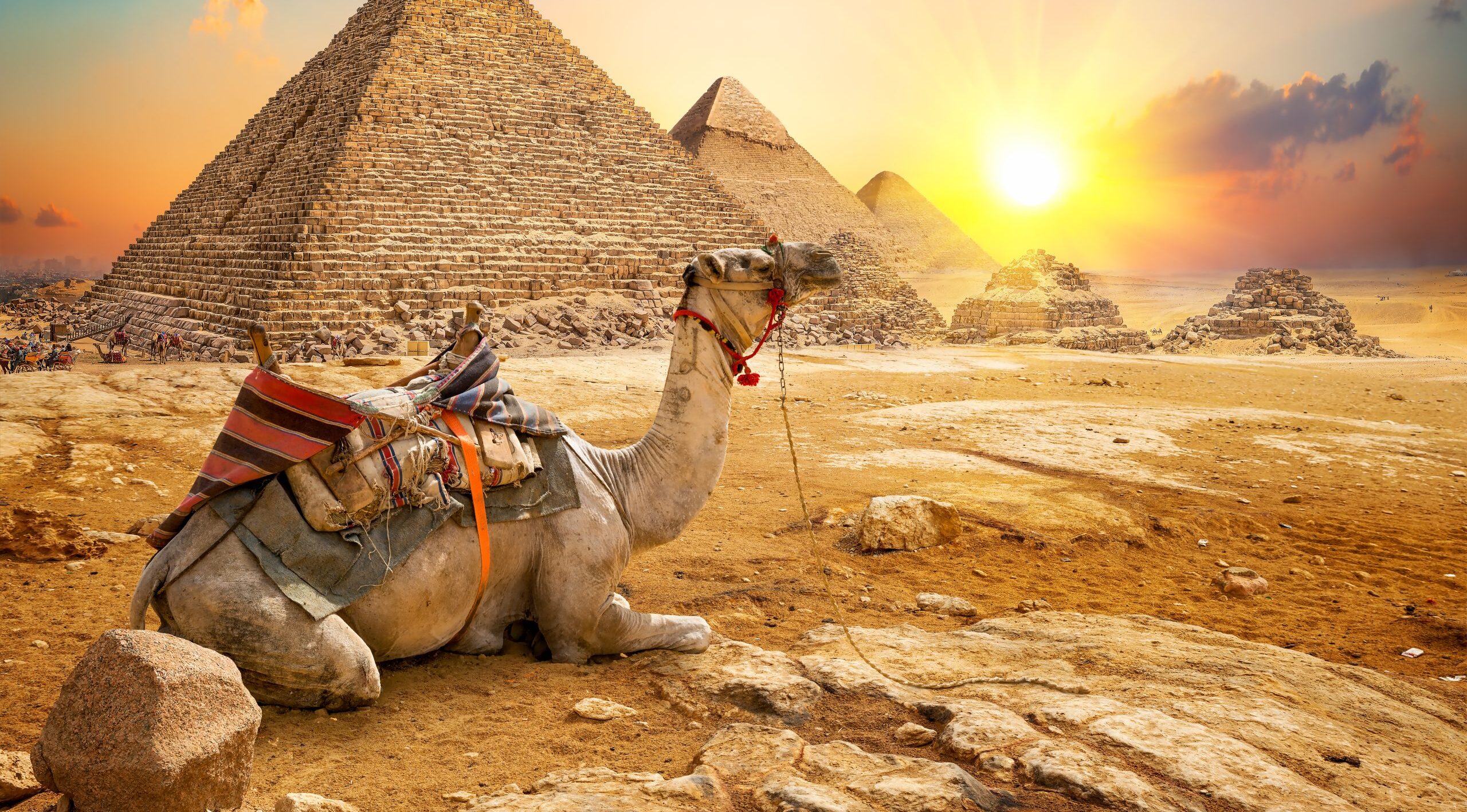 GCC Moving Services to Egypt